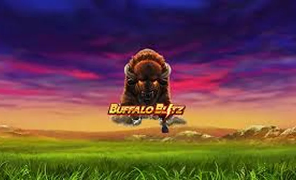 buffalo-blitz-featured-image-1