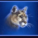 buffalo-blitz-symbol-2-1